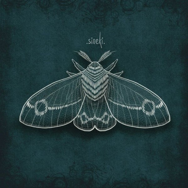 Мотыльки арты