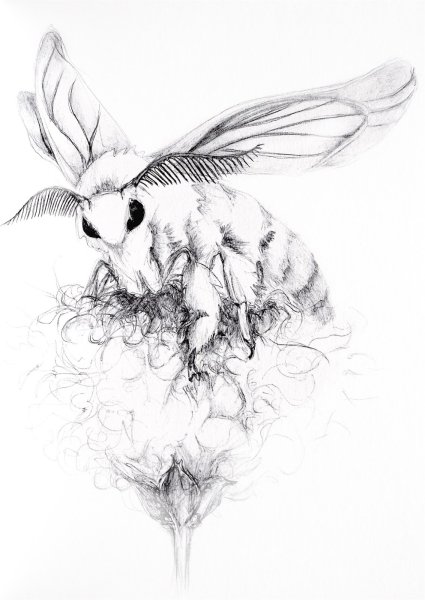 Тутовый шелкопряд Татуировка