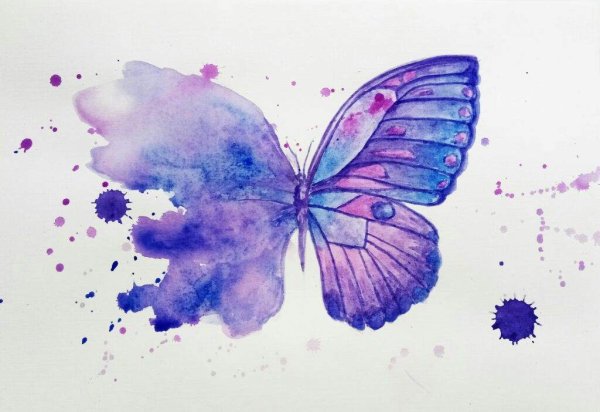 Нежные бабочки арт