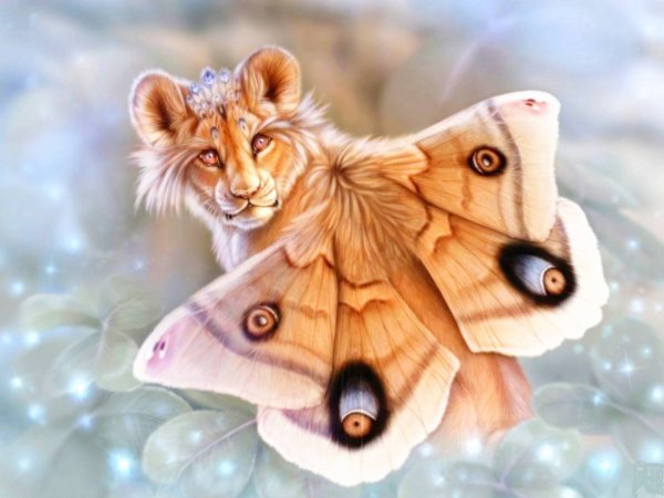 Красивые фэнтези милые животные