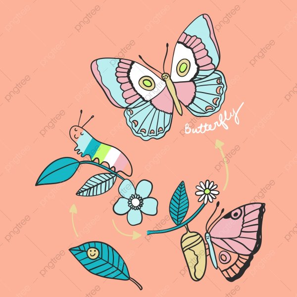 Рисунки милых бабочек