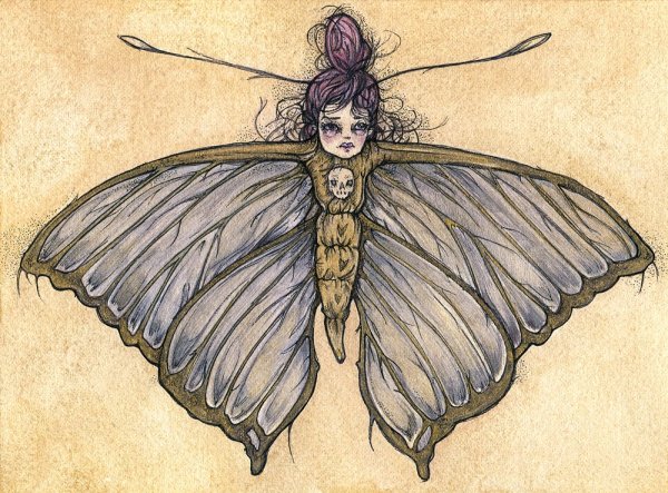 Мотыль эскиз