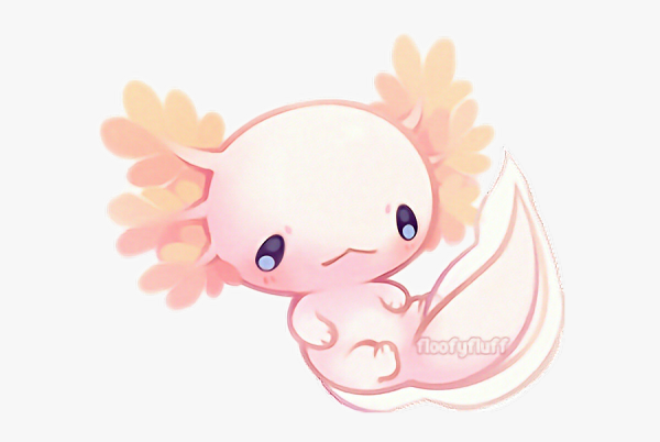 Аксолотль милашка аниме