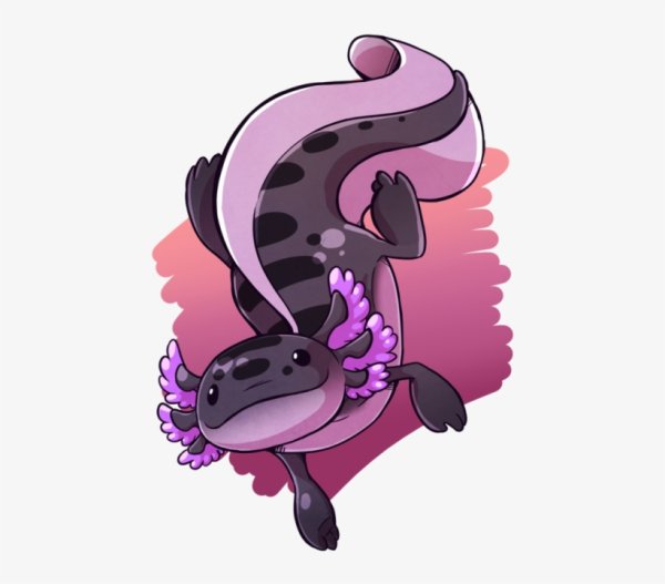 Аксолотль пурпурный