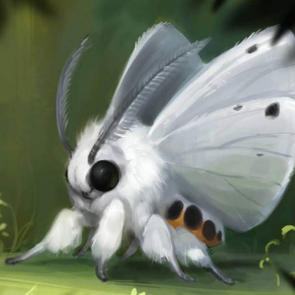 Тутовый шелкопряд арт