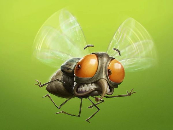 Смешные букашки