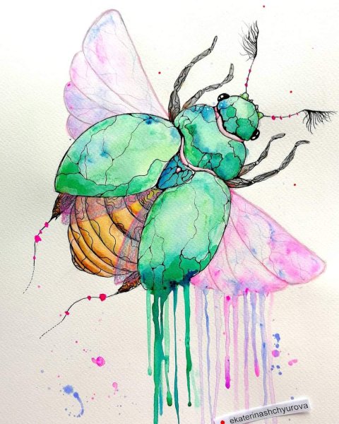 Насекомые акварелью