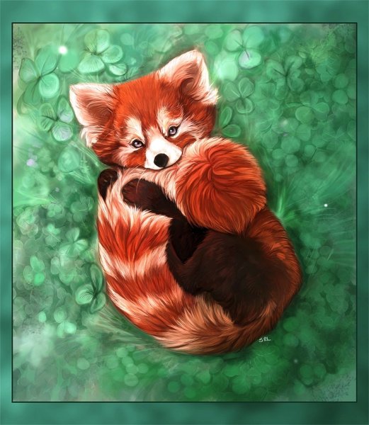 Красная Панда вышивка