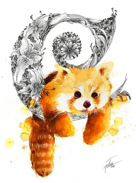 Красная Панда акварелью