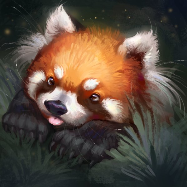 Красная Панда Art