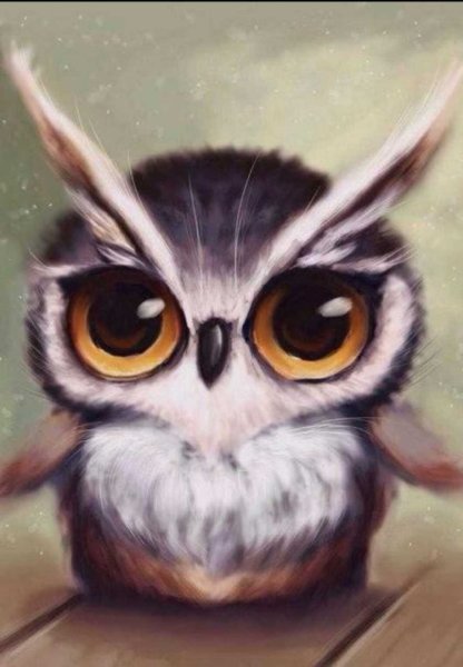 Совенок с большими глазами