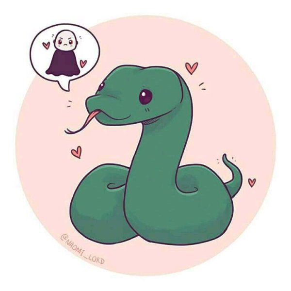 Наоми Лорд змейки