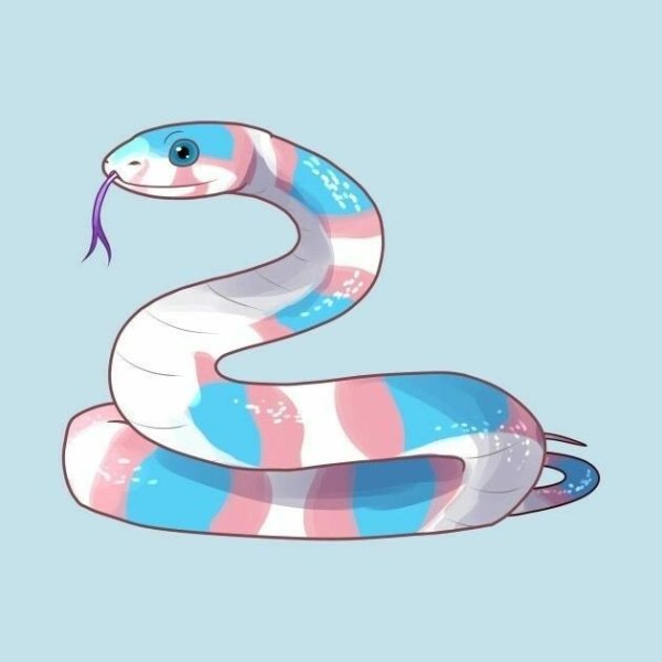 Змеи референсы