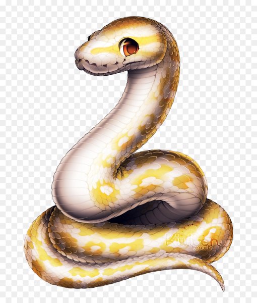 Питон удав змейка