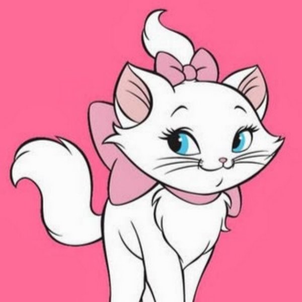 Мордочка кошечки