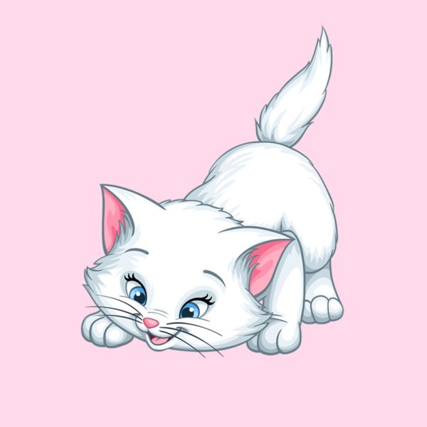 Кошечка Мари