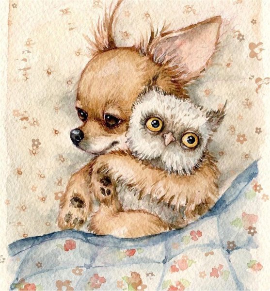 Иллюстратор Инга Измайлова