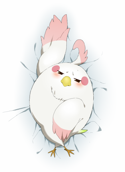 Магазинчик Тамако попугай