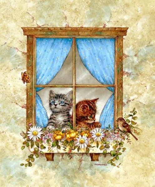 Нарисовать окно