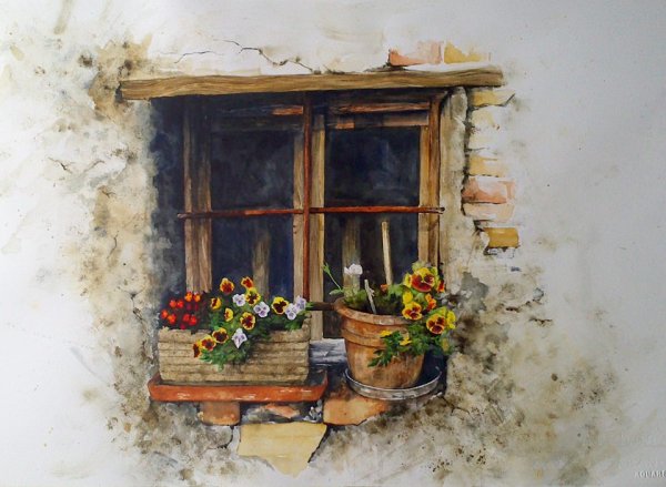 Иллюстрации Сары Саммерс