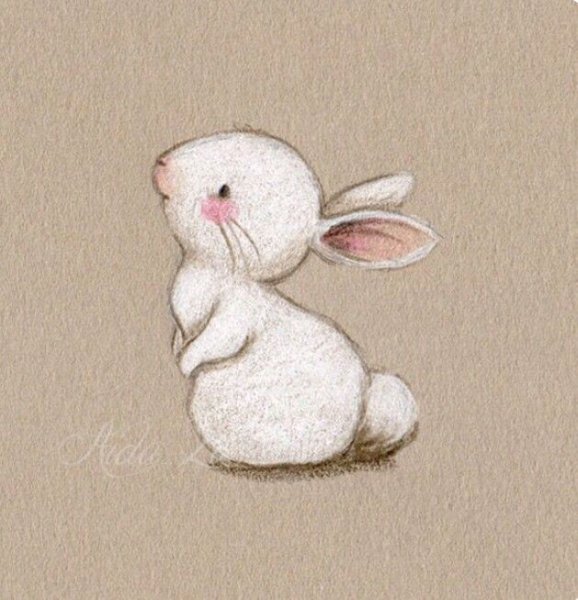 Аида Замора Rabbit