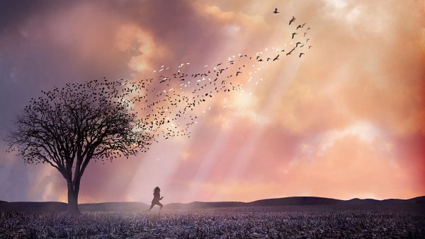 Красивые рисунки со смыслом