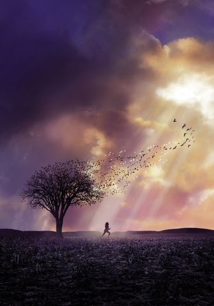 Милые кости