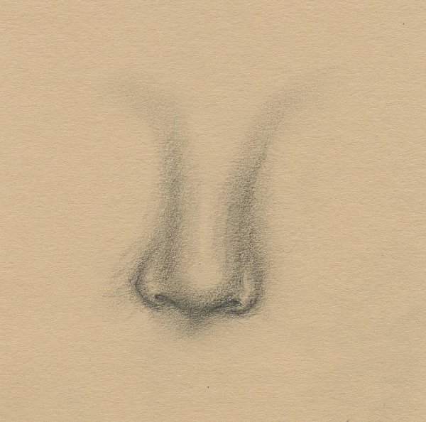 Женский нос рисование