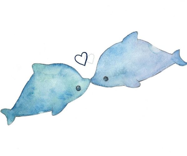 Дельфины для срисовки милые