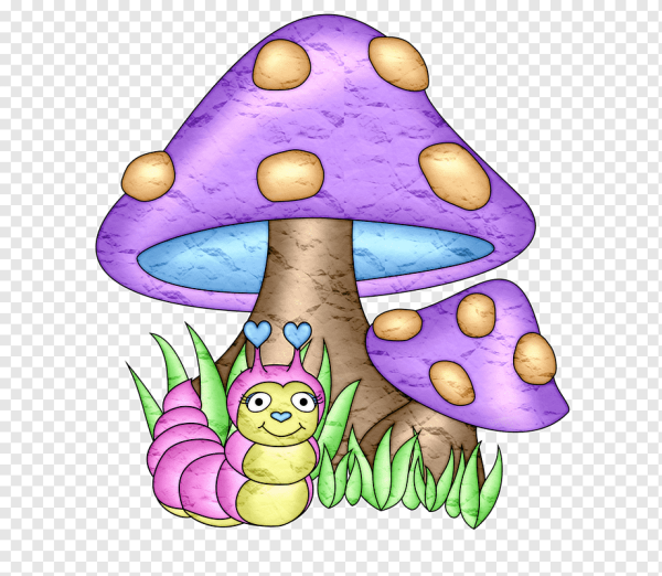 Волшебные грибы