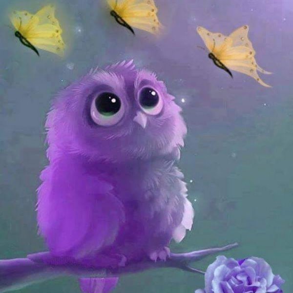Сова (сиреневая)