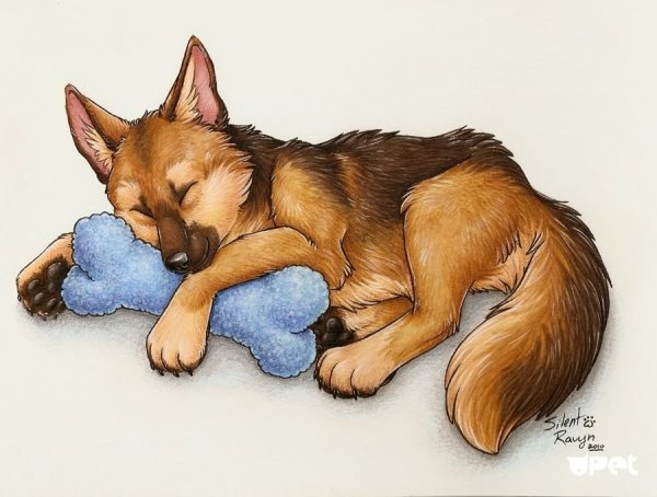 Немецкая овчарка аниме