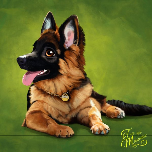 Овчарка арт