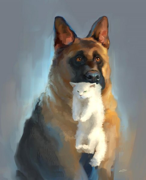 Овчарка арт