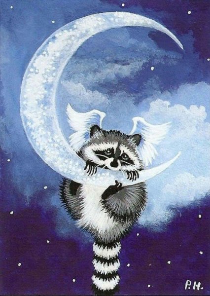 Енот гуашью