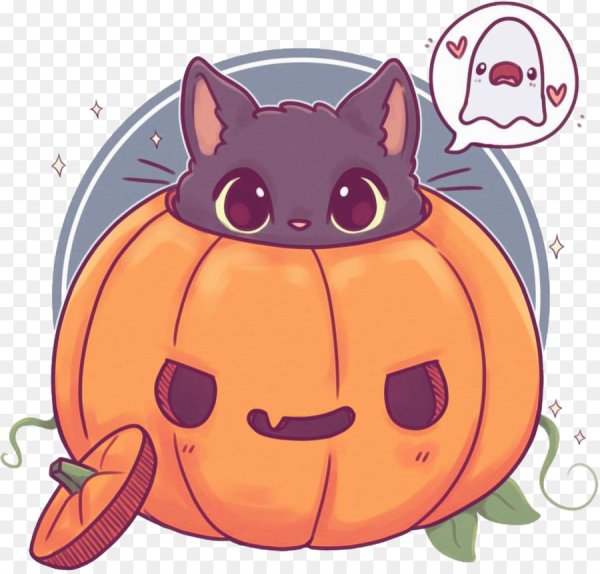 Наоми Лорд Чиби кошки