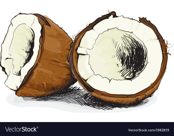 Стилизованный Кокос