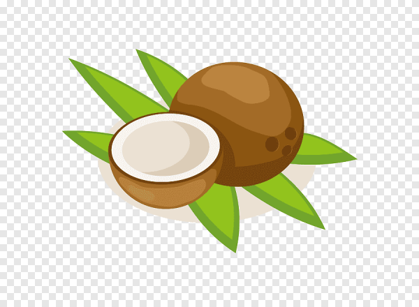 Кокос вектор