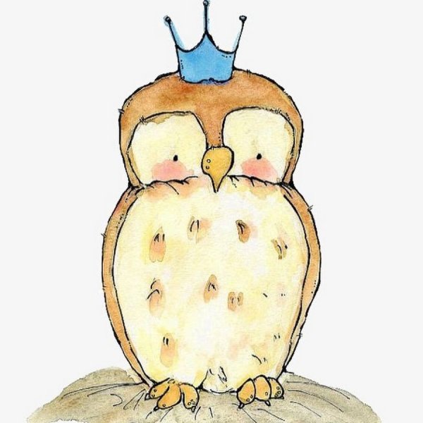 Сова зевает рисунок