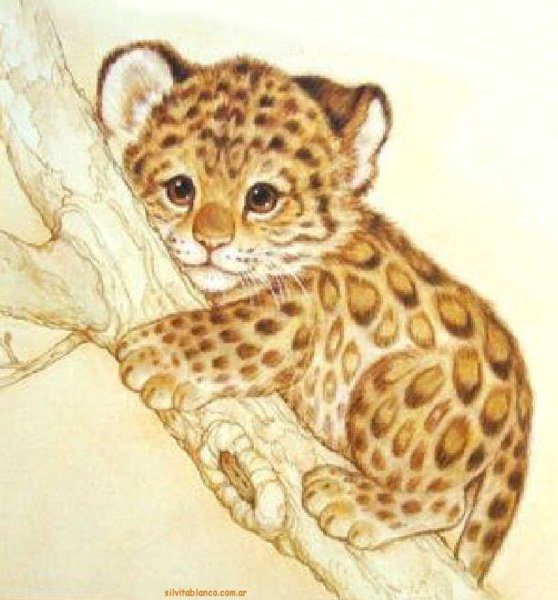 Леопард для детей