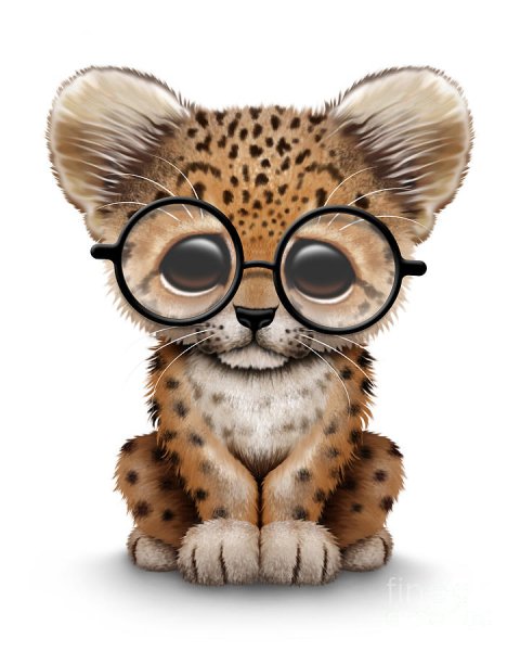 Животные с большими глазами мультяшки