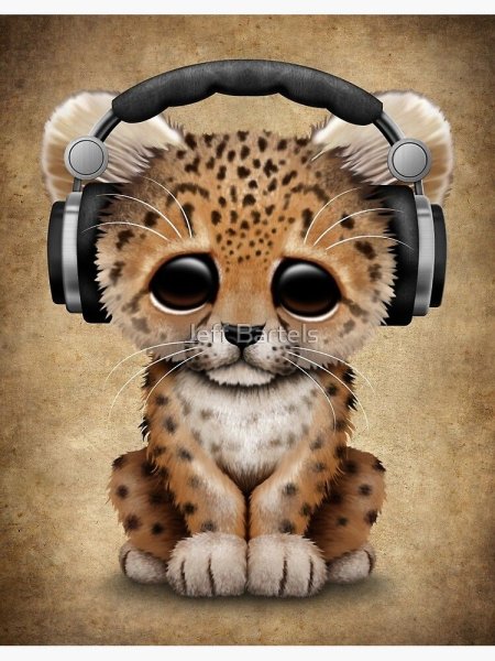 Зверек в наушниках