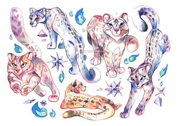 Арты животных в разрезе