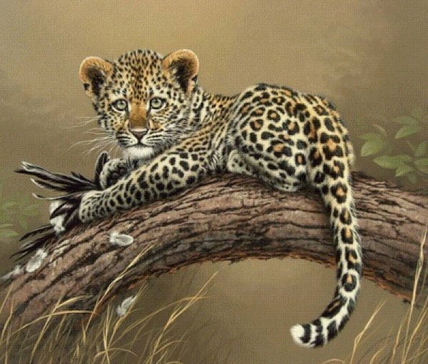 Fabrizio Caforio художник