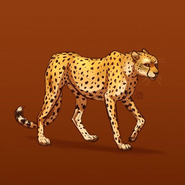 WILDCRAFT гепард