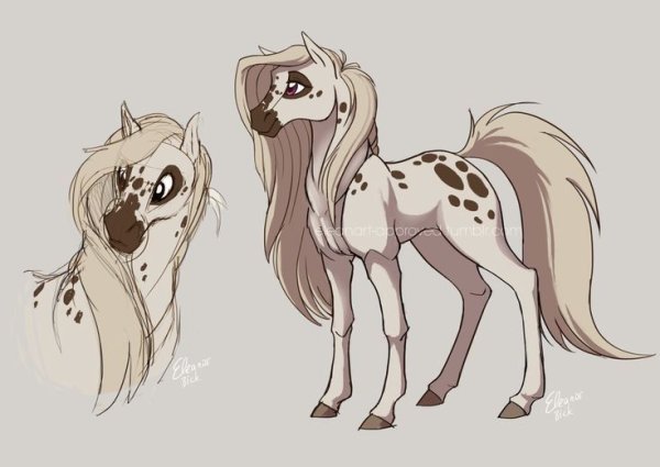 Референсы лошадей ОС