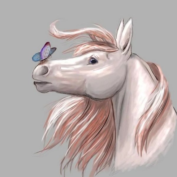 Голова лошади арт