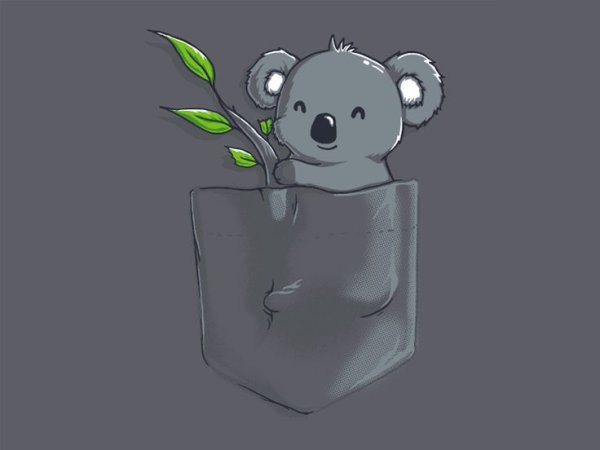 Кавайные коалы