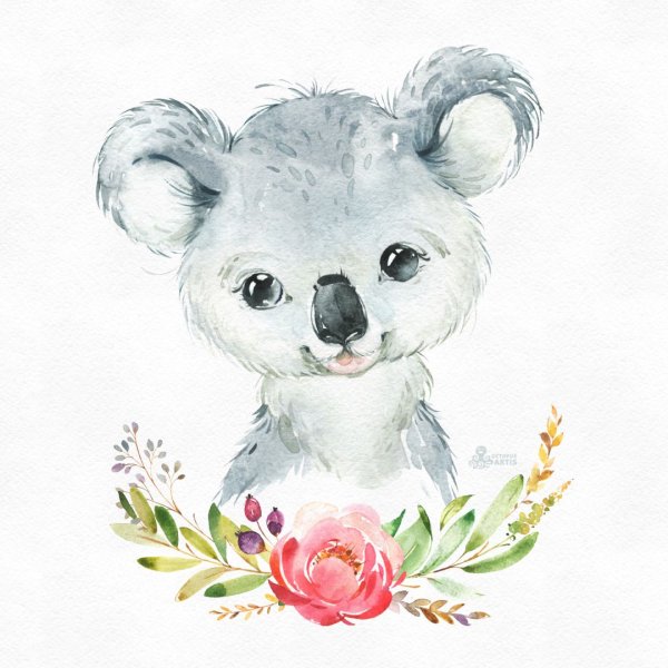 Акварельные зверушки