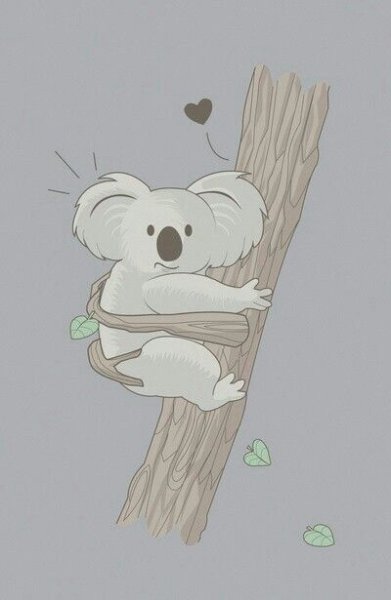 Коала рисунок для срисовки